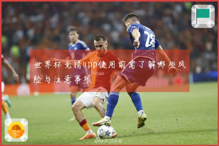 世界杯竞猜app使用前需了解哪些风险与注意事项