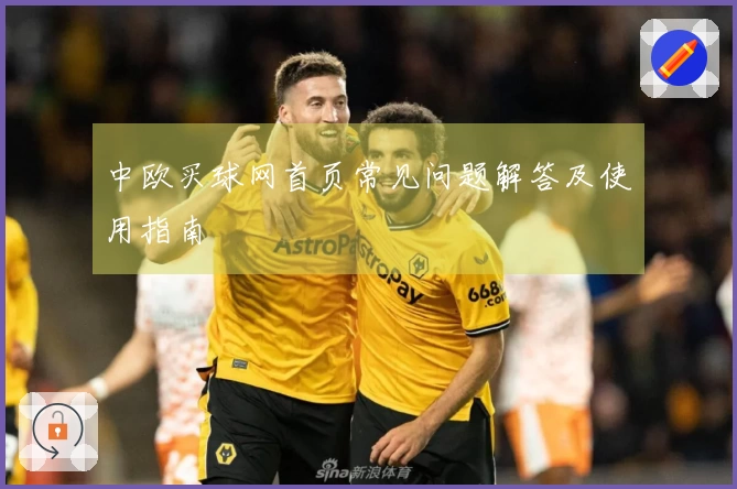 中欧买球网首页常见问题解答及使用指南