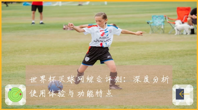 世界杯买球网综合评测：深度分析使用体验与功能特点