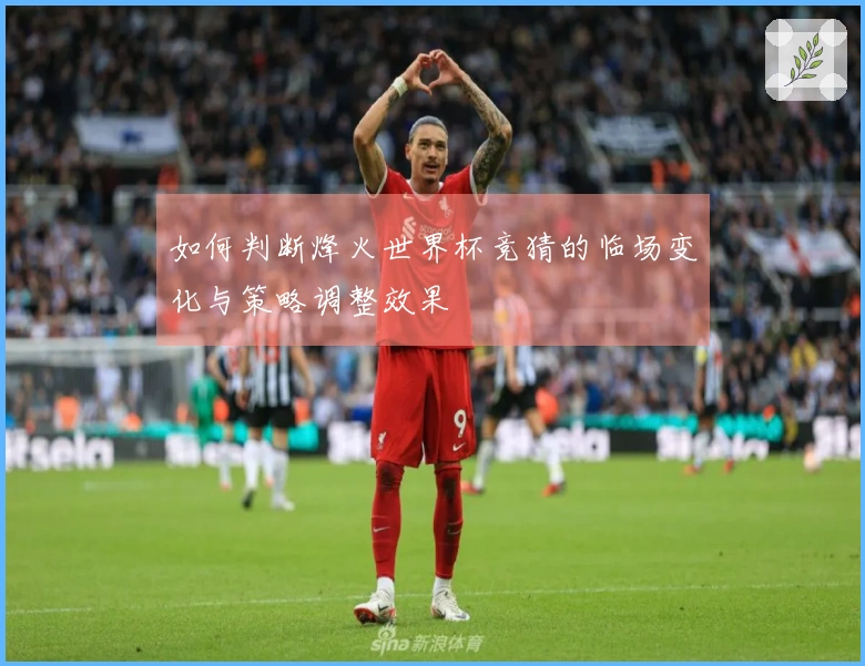 如何判断烽火世界杯竞猜的临场变化与策略调整效果