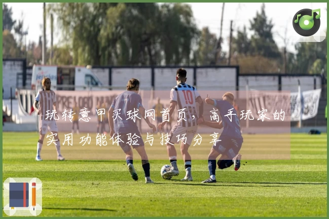 玩转意甲买球网首页，高手玩家的实用功能体验与技巧分享