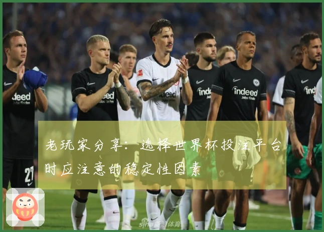 老玩家分享：选择世界杯投注平台时应注意的稳定性因素